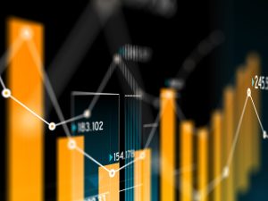 Rokos Capital US interest rates