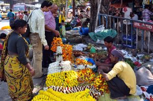 India stock market rally