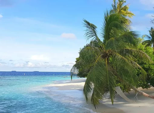 Island Bliss Unveiled Friendship and Adventure in the Maldives