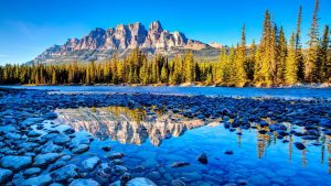 Nature's Secrets Journey into Banff's Wilderness Wonderland