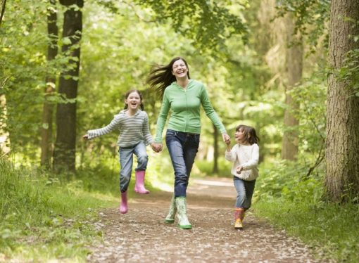 Tranquility Unveiling the Hidden Wonders of North Hagley Park