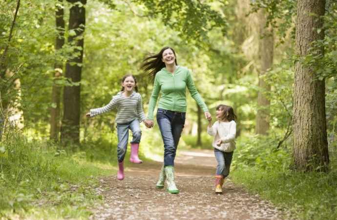 Tranquility Unveiling the Hidden Wonders of North Hagley Park