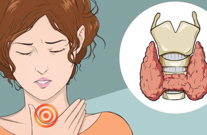 The Thyroid-Libido Connection: Unveiling Secrets for Vitality