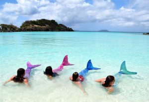 Ultimate Group Travel Experience in the British Virgin Islands