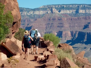 Unveiling the Grand Canyon A Deep Dive into Nature's Canvas