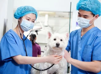 Healthy Pets Can Transmit Dangerous Microbes to Humans