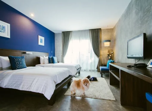 Pet-Friendly Hotels in New England Tail-Wagging Retreats