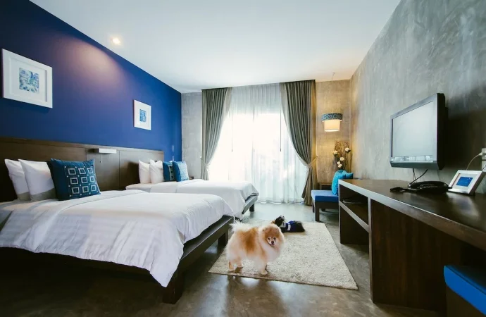 Pet-Friendly Hotels in New England Tail-Wagging Retreats