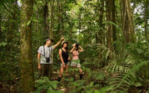 Unveiling the Secrets Exploring the World's Unexplored Jungles