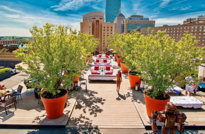 Best Rooftop Bars in New York City Dining with a View