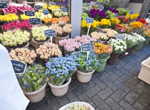 Blooming Tranquility Flower Market Hotel Amsterdam