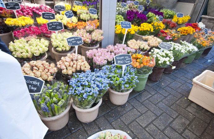 Blooming Tranquility Flower Market Hotel Amsterdam