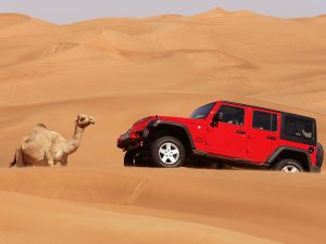 Desert Safari Tours in Dubai