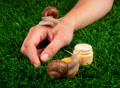 The Slime Solution: Unveiling the Science Behind Snail Mucin for Glowing Skin