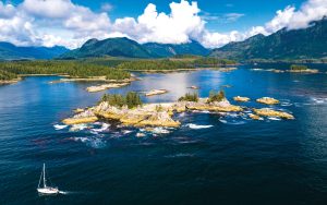 Explore Wineries in Vancouver Island