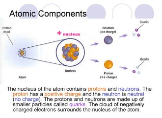 A Primer on Nuclear Physics From Nucleus to Neutrons