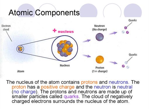 A Primer on Nuclear Physics From Nucleus to Neutrons