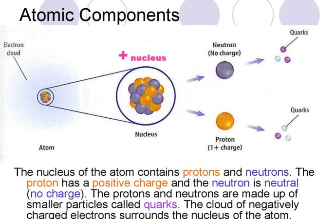 A Primer on Nuclear Physics From Nucleus to Neutrons