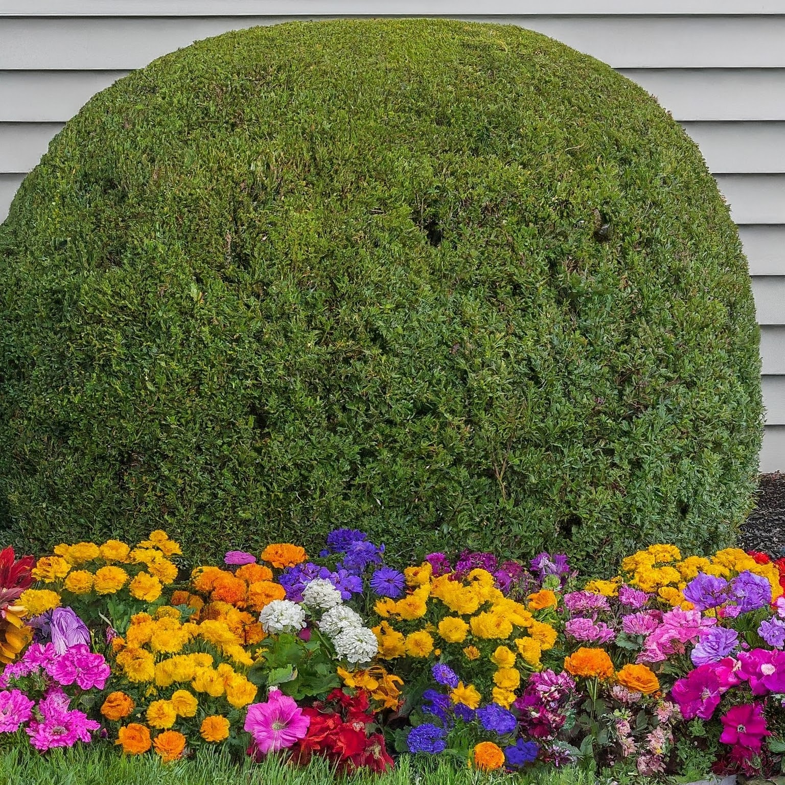 5 Budget Curb Appeal Hacks for Fast Sales