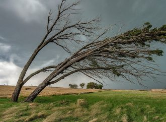 Wind Whipped Kansas, Scorching Houston: Understanding Extreme Weather in the US