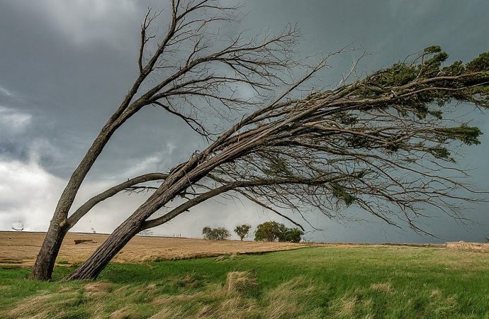 Wind Whipped Kansas, Scorching Houston: Understanding Extreme Weather in the US