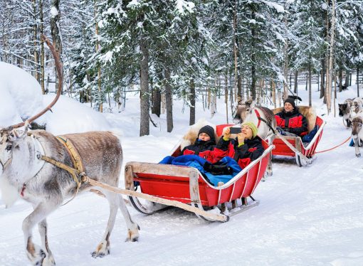 Experience Lapland Top Adventure Tours and Activities