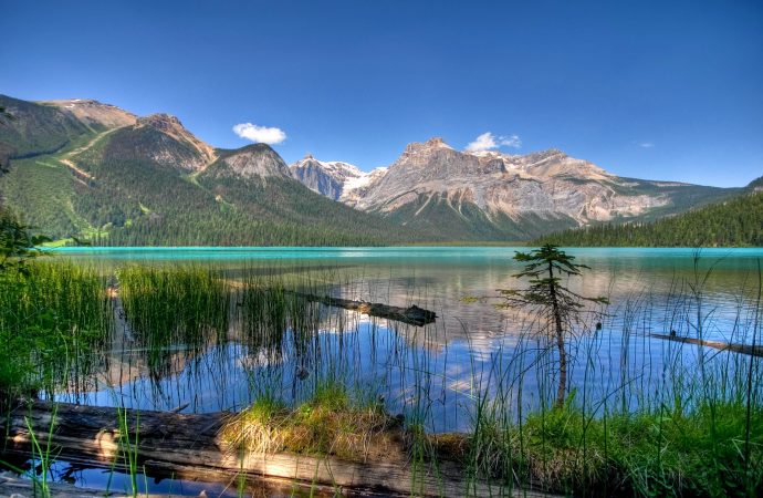 Discover Canada’s Best National Park Yoho’s Shimmering Lakes