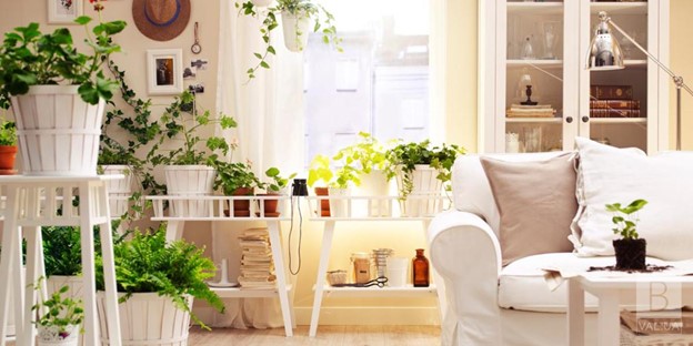 How to Decorate Your Home on a Budget