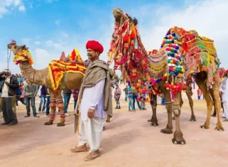  Cultural Delights of Rajasthan, India: 2024 Travel Tips