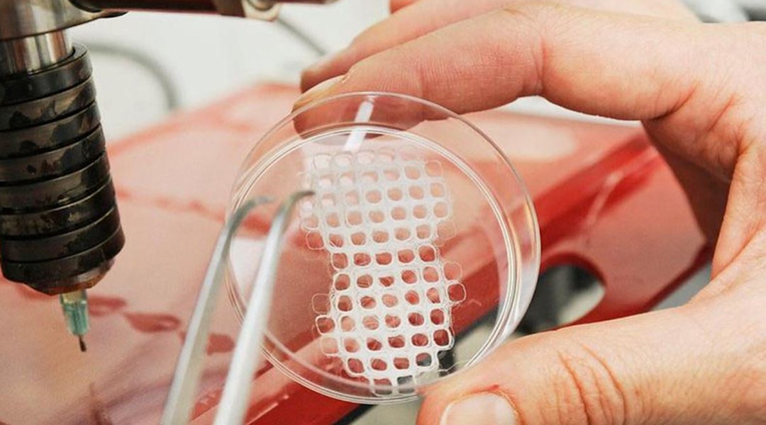 Biodegradable Medical Devices: The Future of Healthcare