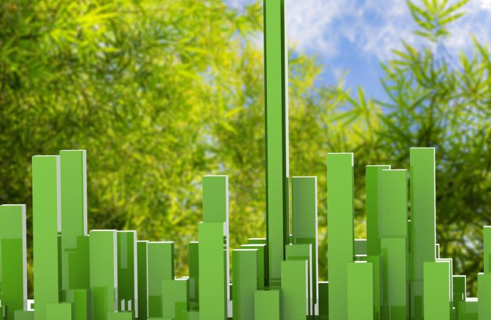 The Growth of Sustainable Building Materials