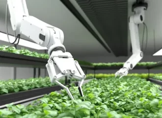 AI in Agriculture: Enhancing Food Production Efficiency