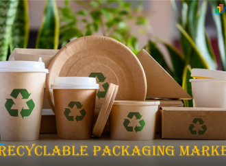 Sustainable Products: Leading the Consumer Market