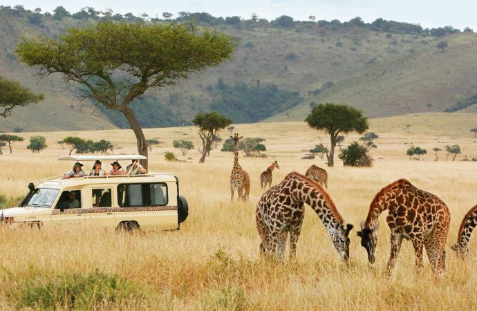 How to Plan a Responsible Wildlife Safari