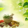 New Trends in Holistic Health Practices