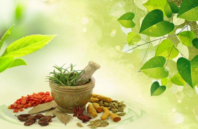 New Trends in Holistic Health Practices