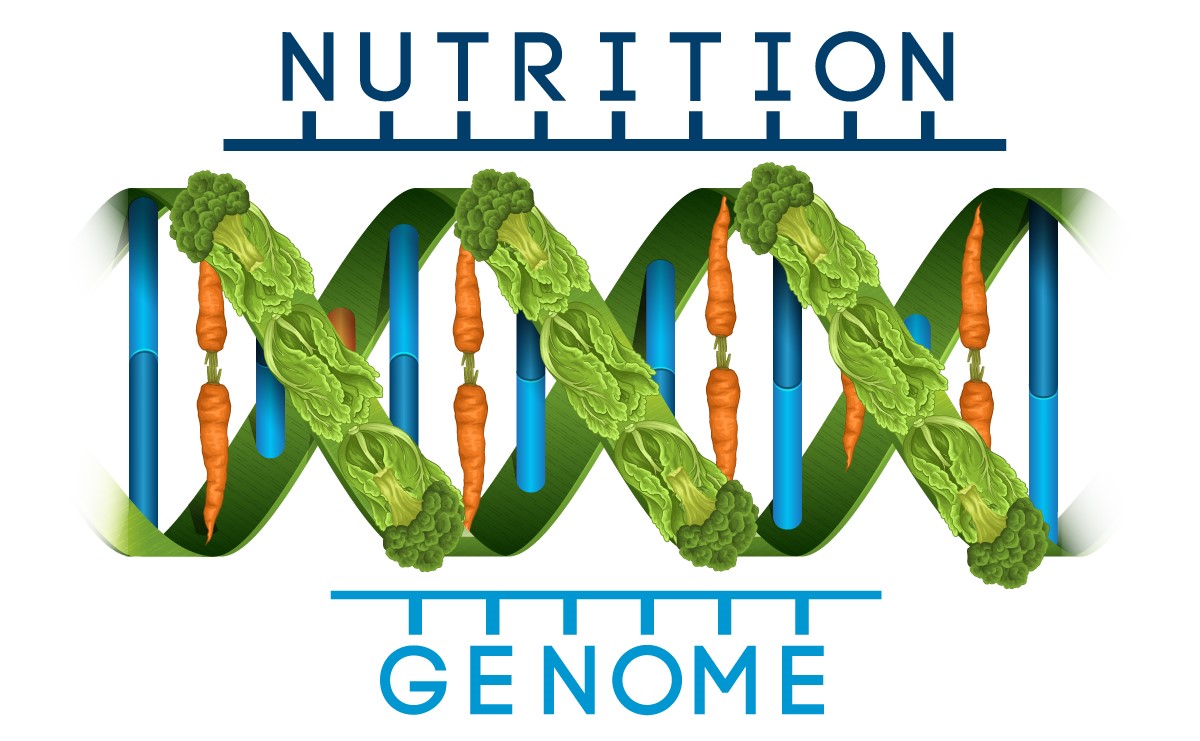 Personalized Nutrition: Integrating Genomics & Diet