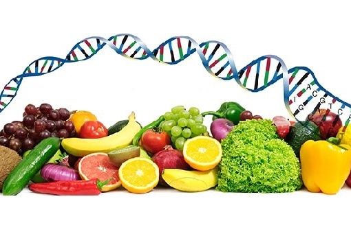 Personalized Nutrition: Integrating Genomics & Diet