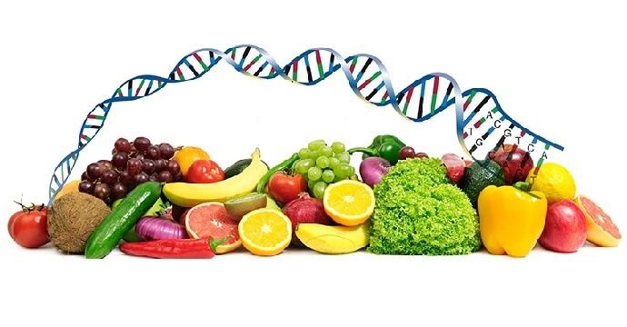 Personalized Nutrition: Integrating Genomics & Diet