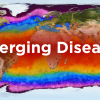 The Impact of Climate Change on Infectious Diseases