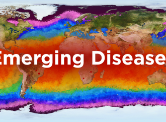 The Impact of Climate Change on Infectious Diseases