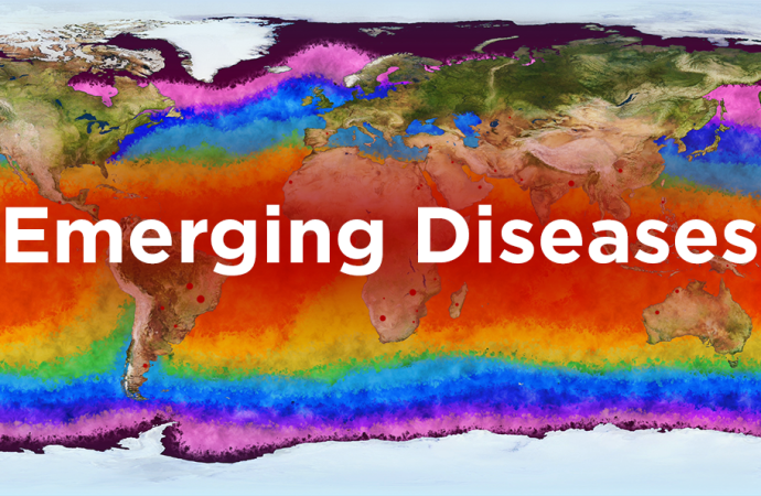 The Impact of Climate Change on Infectious Diseases