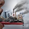 The Impact of Environmental Toxins on Human Health