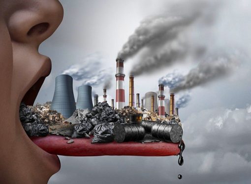 The Impact of Environmental Toxins on Human Health