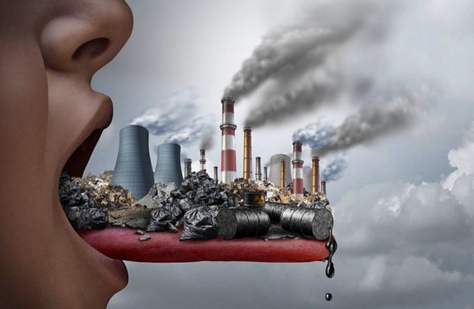 The Impact of Environmental Toxins on Human Health