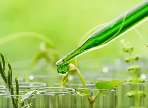 The Impact of Biotechnology on Agriculture Environment