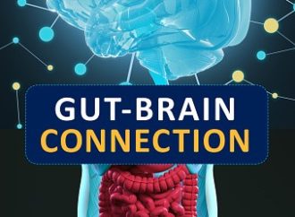 New Insights into the Gut-Brain Connection