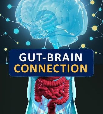 New Insights into the Gut-Brain Connection