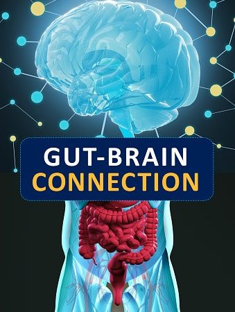 New Insights into the Gut-Brain Connection