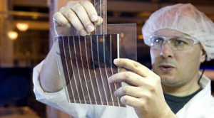 Organic Solar Cell